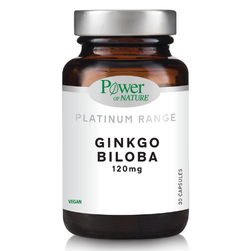 Ginkgo Biloba