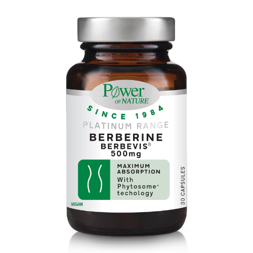 BERBERINE 500mg